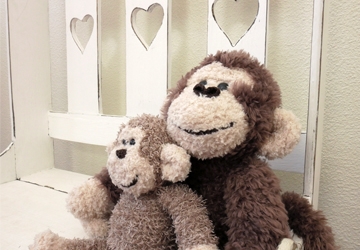 beesies-afbeelding-2-360x250_20190104092130