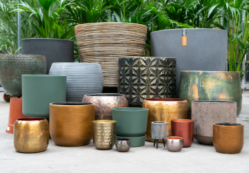 123 planten - 1_20241121154022670