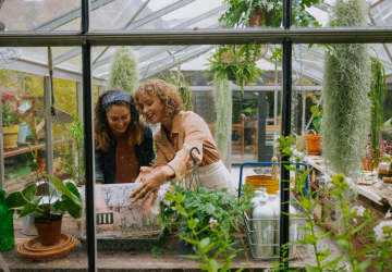 PLNTS - 4_20241126161145449