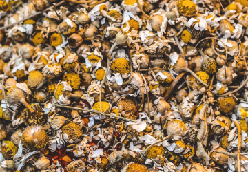 foto4_20190416121347