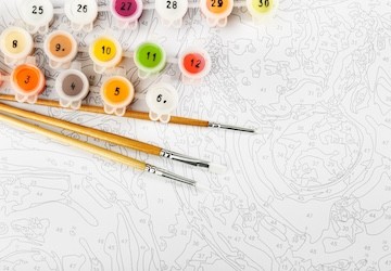 Afbeelding 4_20240820094111606