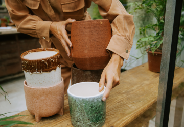 PLNTS - 3_20241126161133701