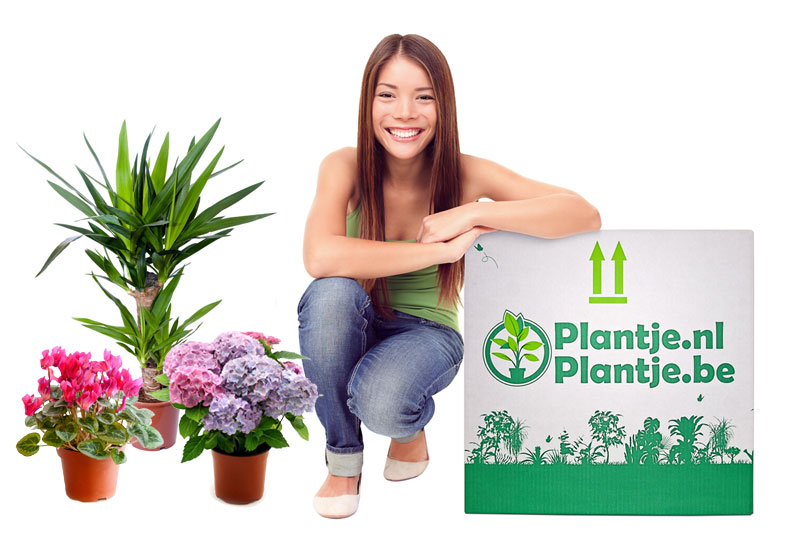 pgimg-5_20180618144212