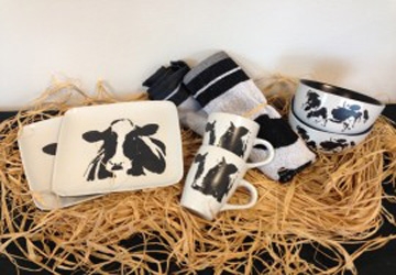 dnp-deswaankado-afbeelding-4-bertina-360x250px_20210305092835