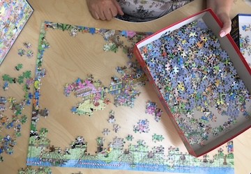 Afbeelding 5_20240717144911301