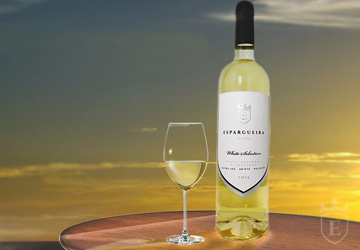 360-250-iii_20190520125750