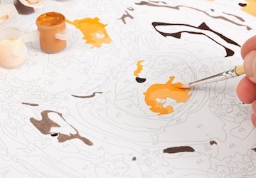 Afbeelding 3_20240820094058240